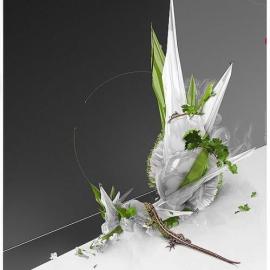 马切伊米策神奇的插图作品