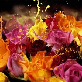 伟大的照片手法教程