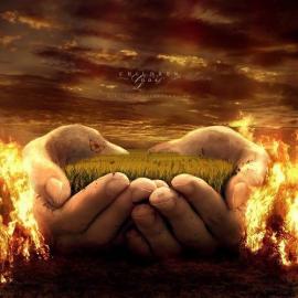 Erik Schumacher伟大的艺术作品