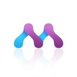 Megalan Network 品牌形象设计