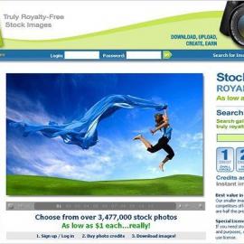 网站提供免费的照片