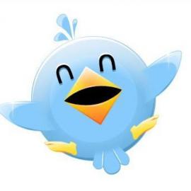 Twitter的鸟类图片