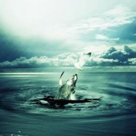 优秀的Photoshop教程效果图#1