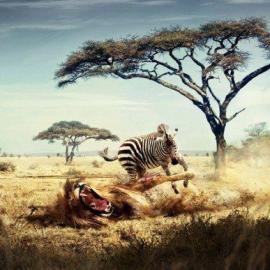 20张高品质的壁纸