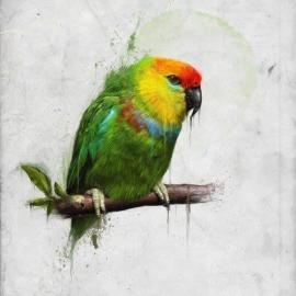 BOBBb12345 艺术作品