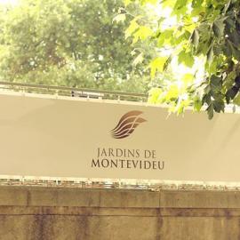 Montevideu视觉形象设计