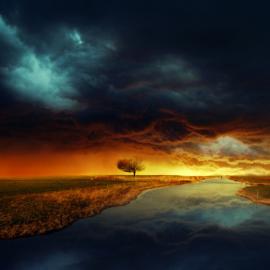 Kokoszkaa 艺术作品