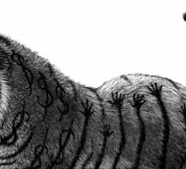 Ricardo Martinez 插画设计