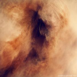 Cromoart和Flickr集团新的作品#9