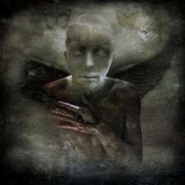 Marcin Owczarek 创意设计