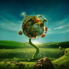 PSD Vault Flickr Group 创意设计#3