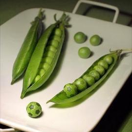 Alexandre Dubosc创意艺术照片