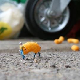 可爱的相片工程