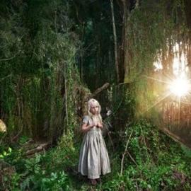 Jeremy Blincoe 摄影作品欣赏