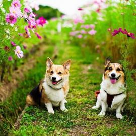 Moaan 摄影作品欣赏