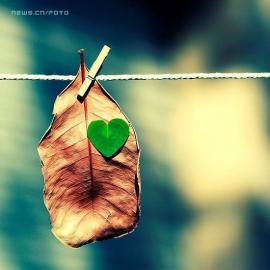 Beata Czyzowska Young摄影作品欣赏