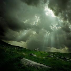 Michał Karcz 摄影作品欣赏