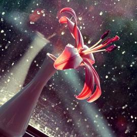 Beata Czyzowska Young 摄影作品欣赏