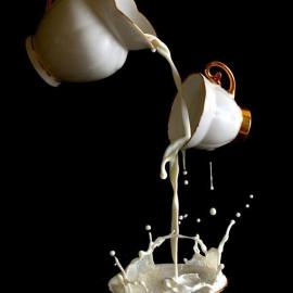 Egor N的反重力咖啡时间