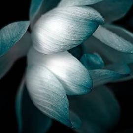 Mikko Lagerstedt 摄影作品欣赏