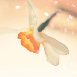 Andrey-Solovyov 摄影作品欣赏