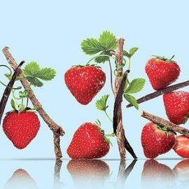 Linda Lundgren 食物造型设计