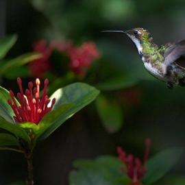 Mike Reyfman 摄影作品欣赏