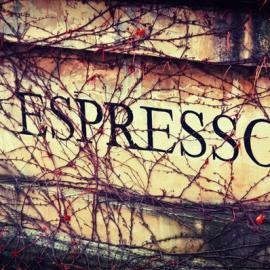 Katerina Karmanovskaya 摄影作品