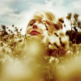 Robert Moses Joyce 摄影作品