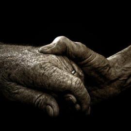 Josh Mindemann 摄影作品