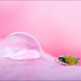 AimishBoy 摄影作品