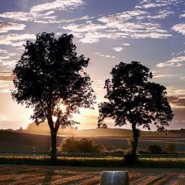 Kai Bernstein 摄影作品