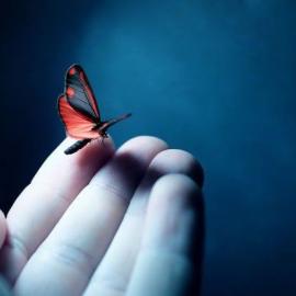 Jan Laeton R. 摄影作品