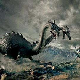 Markku Lahdesmaki 摄影作品