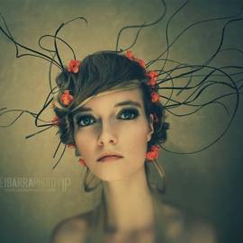 杰米·伊瓦拉摄影作品