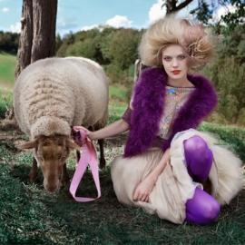 Marie Schmidt 摄影作品