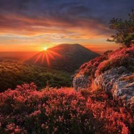 Maxime Courty 摄影作品