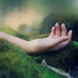 Anna Aden 摄影作品