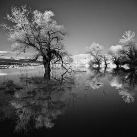 Christos Lamprianidis 摄影作品