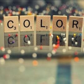 Michelle Ellis 摄影作品#3