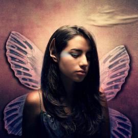 Bizarro 艺术摄影作品