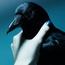 Ben Hassett 摄影作品