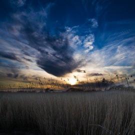 Adam Lack 摄影作品