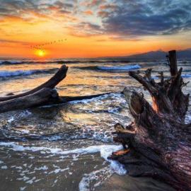 Ivan Goroun 摄影作品