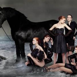 Simon Procter 摄影作品