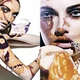 Robert Jaso 摄影作品