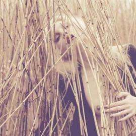 Waldemar Hansson 摄影作品