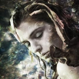 Nicolas Henri 摄影作品