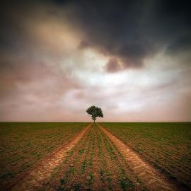 Piotr Krol 摄影作品