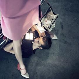 Jean Francois Gschwindt 摄影作品